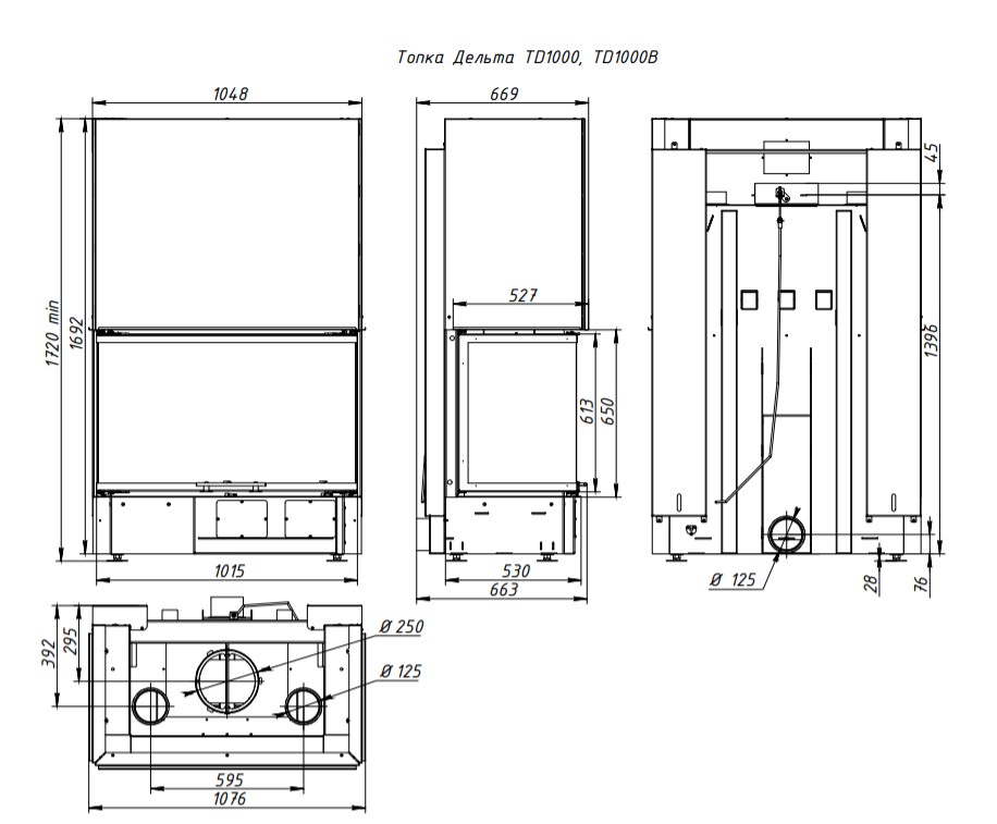 Каминная топка ЭкоКамин Дельта 1000 принтинг TDN1000